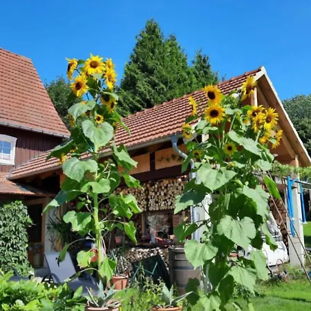 Pieper Hohnstein
