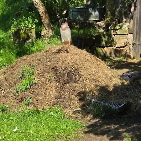 Pieper 霍恩斯泰因